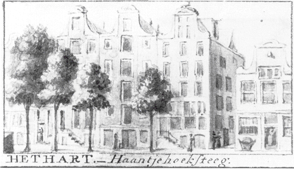 Haantje